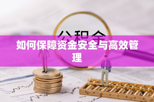 汉寿如何保障资金安全与高效管理