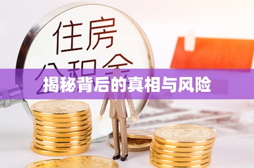 汉寿揭秘背后的真相与风险