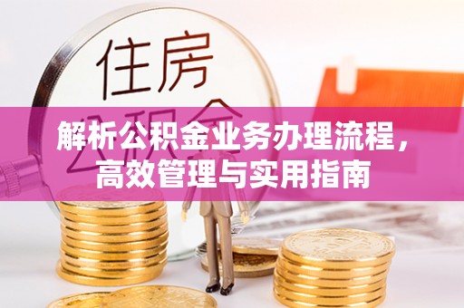 汉寿解析公积金业务办理流程，高效管理与实用指南