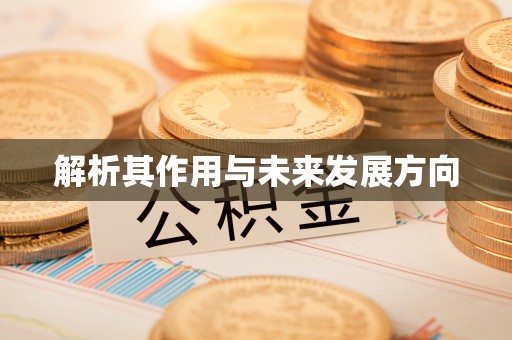 汉寿解析其作用与未来发展方向